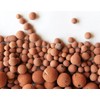 Hydro Clay Pebbles (Leca) Orchid/Hydroponic Grow Media - 10 lbs.