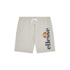 ellesse Bossini Men's Shorts, grey, m