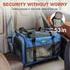 KISFLY TSA Approved Pet Carrier in Cabin 17 x 11