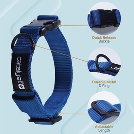 Catalyst AirTag Dog Collar - Adjustable AirTag Collar for Dogs, Durable Dog Collar for All Breeds, Snug Fit Loop AirTag Collar for Large Dogs with Safety Buckle Clip-It Case Compatible