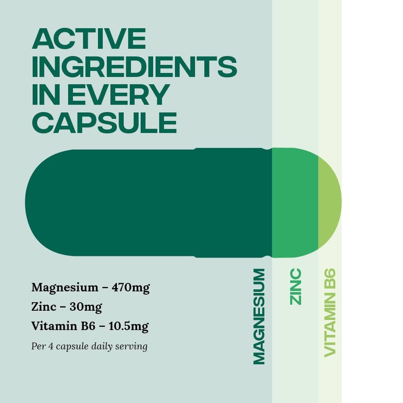 Reflex Nutrition Zinc and Magnesium Tablets |, & B6 |