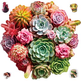 Reouinty Wooden Puzzles for Adults 500 Piece, Colorful Succulent Puzzle for Mom, Challenging Puzzle, Luxurious Shaped Wooden Puzzles for Family Game 16.7 * 16.3in