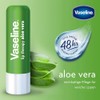 Lip Therapy Petroleum Jelly - Aloe Vera by Vaseline for