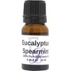 Eucalyptus Spearmint Fragrance Oil by Eclectic Lady, 10 ml Premium,