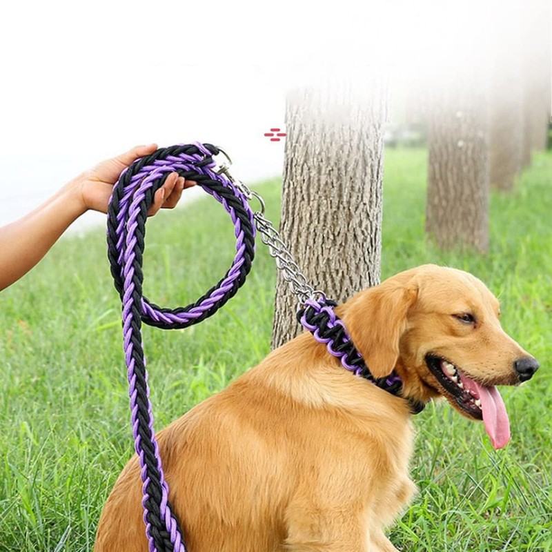 Love Dream Dog Collar and Leash Set, Heavy Duty Nylon
