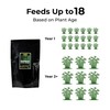 Real Growers Bamboo Special 13-5-11 – 12-Month Slow-Release Fertilizer for