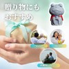Frog Store Figurine, Goods, Interior, Object, Garden, Miscellaneous Goods, Doll,
