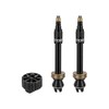 Topeak Turboflow 45mm Presta Valve Kit
