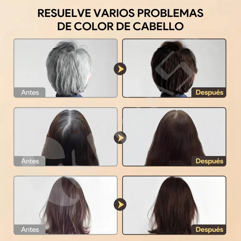 Kaisasa Shampoo Con Tinte Cubre Canas Con Aceite De Argn