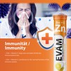 EVÄM Zinc Plus Vitamin C Effervescent Tablets, Lemon Flavour, 3