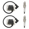 Lidscura 2PCS Ignition Coil with Spark Plug 24 584 45-S