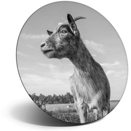 Destination Vinyl ltd Magnet for Refrigerator, Fridge BW - Cute Grey Goat Farm Animal for Office, Cabinet and Whiteboard, Magnetic Stickers, 39110