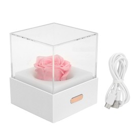 Rose Night Light Romantic Small USB Charging Soft Brightness Decoration Detachable Transparent Cover Rose Table Lamp for Home Pink