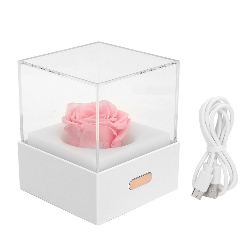 Rose Night Light Romantic Small USB Charging Soft Brightness Decoration