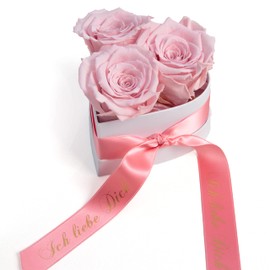 Rosemarie Schulz Heidelberg Infinity Rose Box in Heart Shape with Preserved Roses in Red Valentine's Day Gift