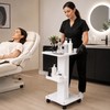 3-Tier Salon Rolling Cart for Tool Storage – Aluminum Beauty