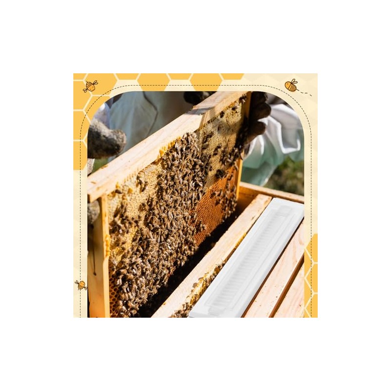 Qualirey 50 Packs Reusable Hive Beetle Trap, Plastic Blaster Beetle