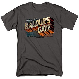 Dungeons & Dragons Baldur's Gate Unisex Adult T-Shirt for Men and Women, Charcoal, 2X-Large