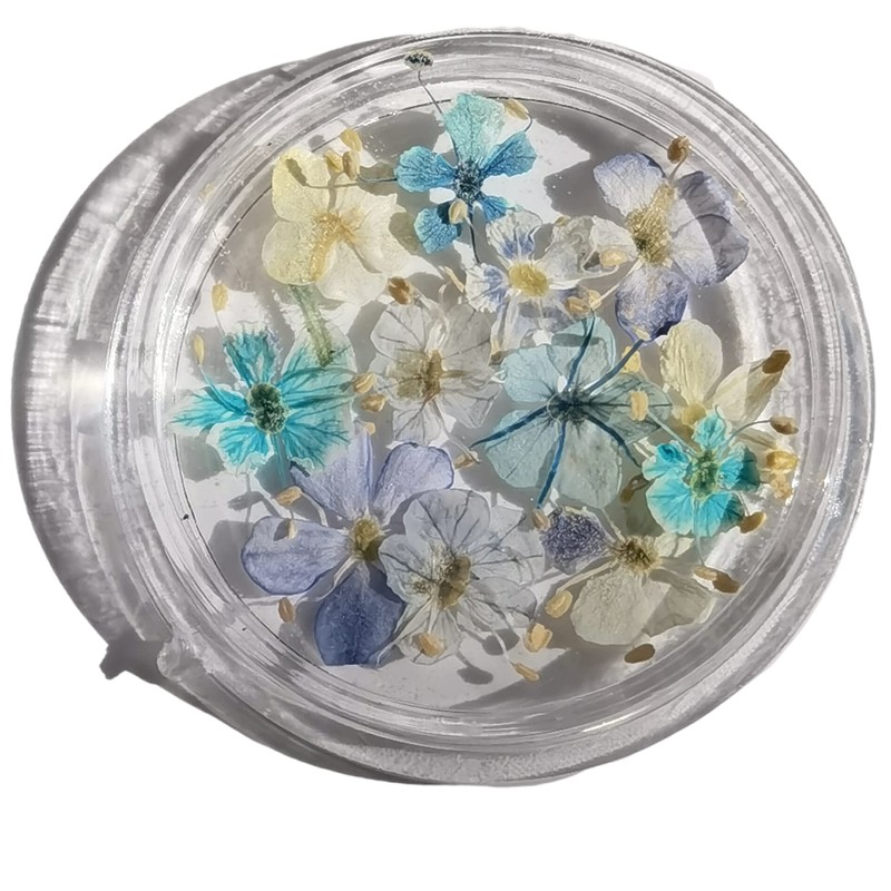 Set of 48 Handmade Mini Pressed Flowers, Dried Flowers, Small,