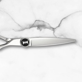 Flair 6 Inch Hair Cutting Scissors with Removable Tang and VG10 Japan Steel Sword Style Blades - Designed to Cut Wet or Dry Hair - Designed by Saki Shears (6" Cutting Scissors)