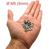 Square Nut M5 Stainless Steel Low Shape/Flat Profile Stainless Steel