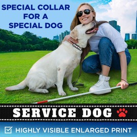 TECEUM Reflective Pet Collar – Black - Service Dog – XS – Basic Nylon Dog Collar – Quick Release Buckle – Fits Small, Medium and Large Dogs, Puppies, Cats – ESA & Service Dog Options