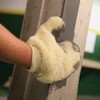 Trimaco SuperTuff Painter's Mitt with thumb , White|whites - 10901