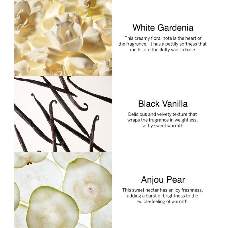 Victoria's Secret Fine Fragrance Bundle Noir Tease