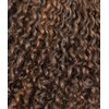 Kalyss Short Afro Kinky Curly Wigs for Women Side Curved