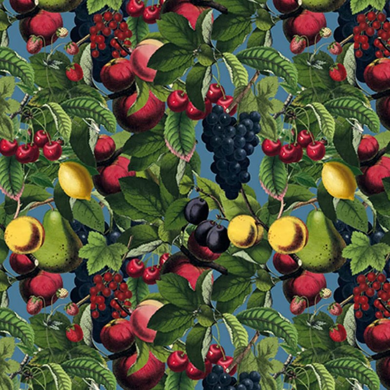 CEDON Easy Bag Fruit