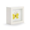 DEMDACO Wall or Tabletop Shadow Box, Everyday Home Décor, 4
