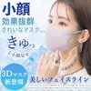 [一木良品] 【夏用息しやすい】マスク 【乾燥肌の不快感対策】 大容量 不織布【適格請求書発行事業者】 定番マスク 立体マスク 不織布 血色 バイカラー