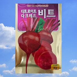 Detroit Dark Red Beet, 1 piece / 디트로이트 다크레드 비트, 1개