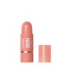 COVERGIRL CG TRUBLEND SKIN ENHANCER BALM Stick Nude Flush 220