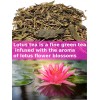 TAOindustry Lotus Tea 4oz Green Tea with the aroma of