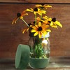 Fizzix Round Floral Foam for Fresh Flower Arrangements - 6