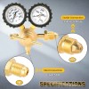Unbranded Professional Nitrogen Regulator w/ Hose 0-800 PSI Output Pressure