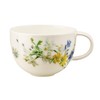 Rosenthal Brillance Fleurs des Alpes Combination Cup