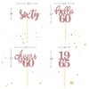 24 Pcs Glitter 60th Birthday Cupcake Toppers for Celebrating Sixty