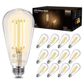DAYBETTER Vintage LED Edison Bulbs, E26 Led Bulb 60W Equivalent, Dimmable Led Light Bulbs, High Brightness 6W 800 LM Warm White 2700K, ST58 Antique LED Filament Bulbs, Clear Glass, 12 Pack