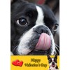 Boston Terrier Dog Valentines Day Card