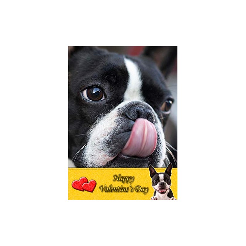 Boston Terrier Dog Valentines Day Card