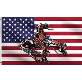 DMSE End of Trail American Indian Native USA Flag 3X5 Ft Foot 100% Polyester 100D Flag UV Resistant (3' X 5' Ft Foot)