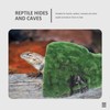 Mipcase Tortoise Hiding from House Reptile Rock Cave Axolotl Tank