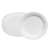 Paper Plates, Pack of 100, Disposable Plates, Biodegradable, Suitable for
