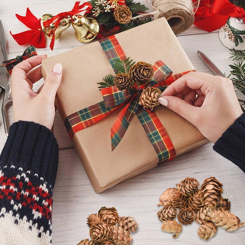 Bacucine Natural Pine Cones 200pcs Christmas Dried Flowers Dried Pine