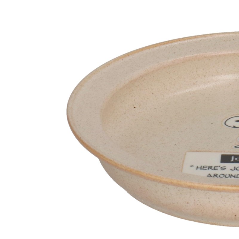 Yamaka Shoten PEANUTS SN981-320 Easy to Scoop, Curry Plate, L,