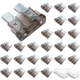 Innfeeltech 25 Stück Standard-Autosicherung, Flachsicherung 2A mit 2 Plastikclips für Auto, LKW und Motorrad