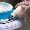 DayMark Piping Pal - Bolsa de repostería desechable, 100 bolsas,