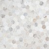 MSI Angora Polished 2' Hexagon Marble Mosaic Tile for Kitchen,